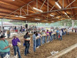 county fair