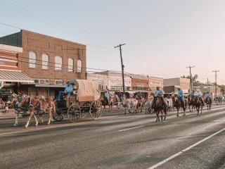 horses parade